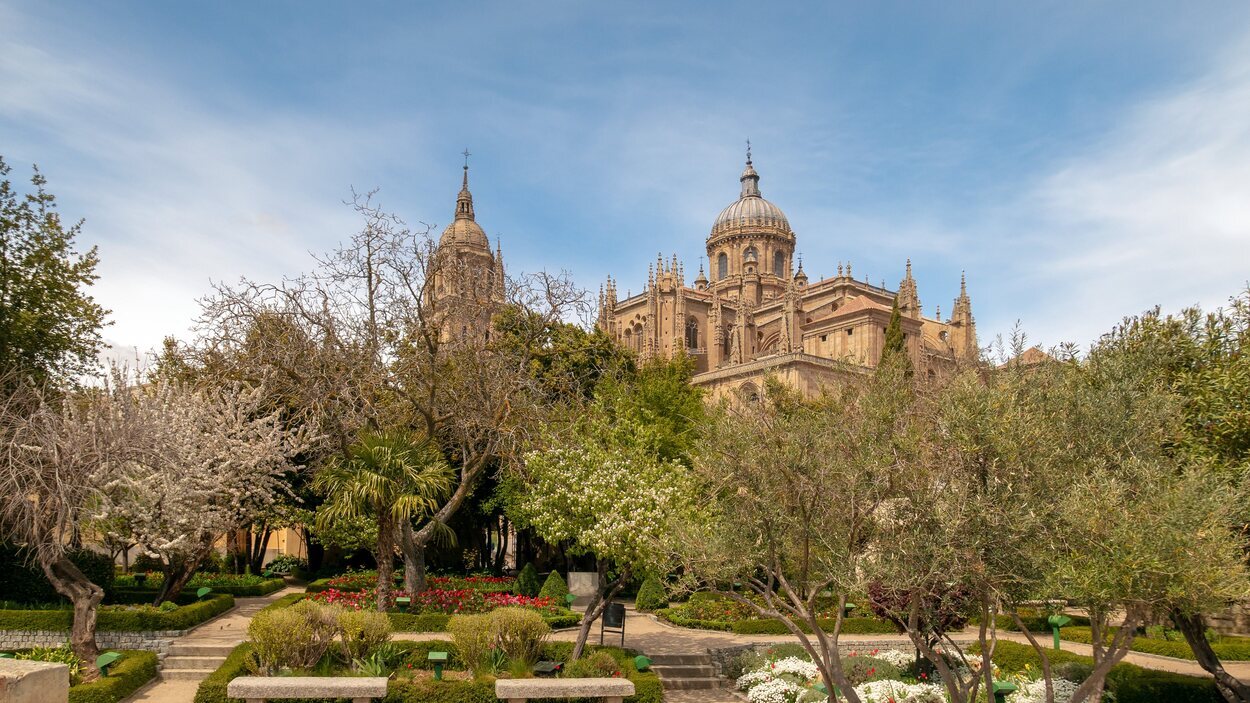 Vistas el casco histórico de Salamanca