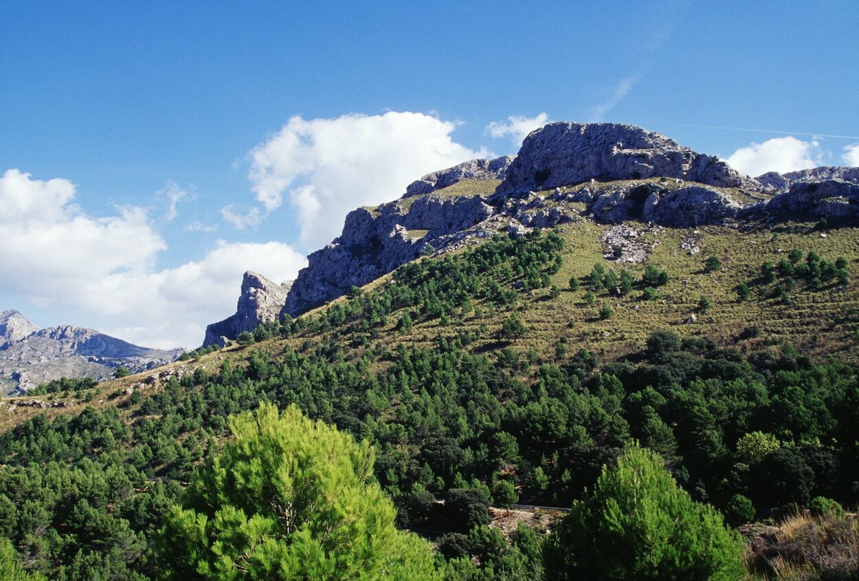 Vista de la Serra de Tramuntana | Giorgio Gatti