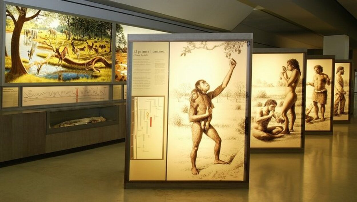 Interior del Museo de Altamira | Foto: Web oficial