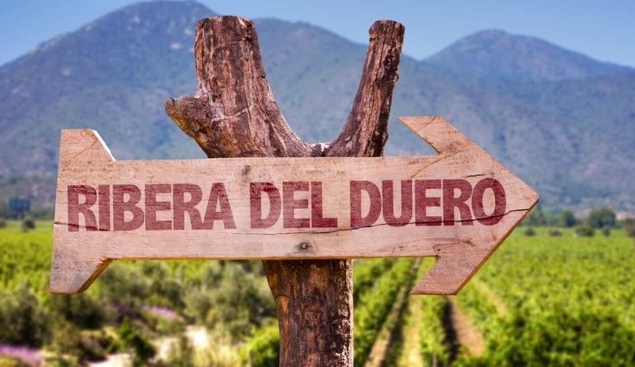 La Ribera del Duero cuenta con un gran jardín vinícola