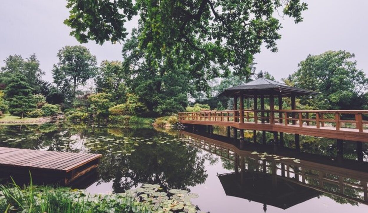 Uno de los bellos paisajes que encontrarás en el Jardín Japonés