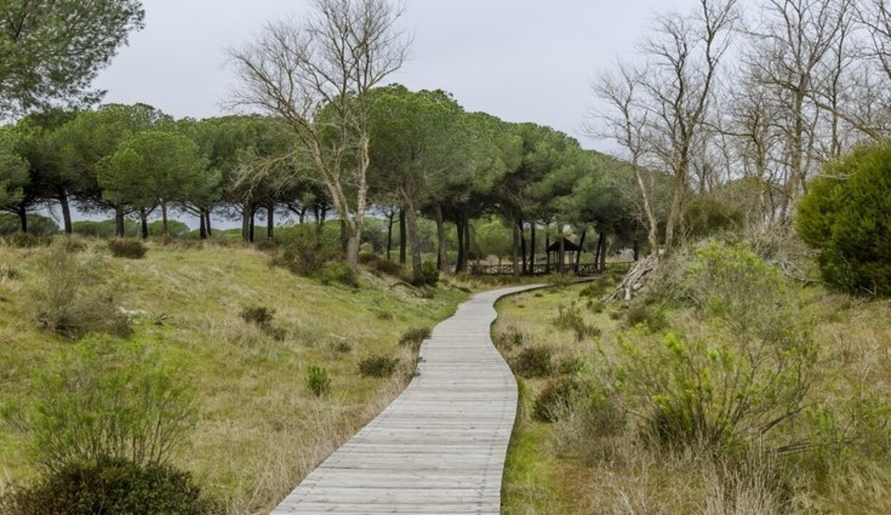  Doñana no se conformo como parque nacional hasta 1969