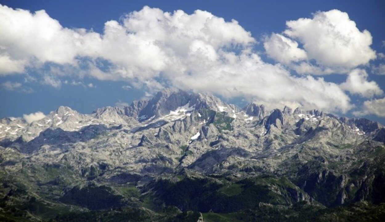 Los Picos de Europa posee más de 1.750 especies vegetales