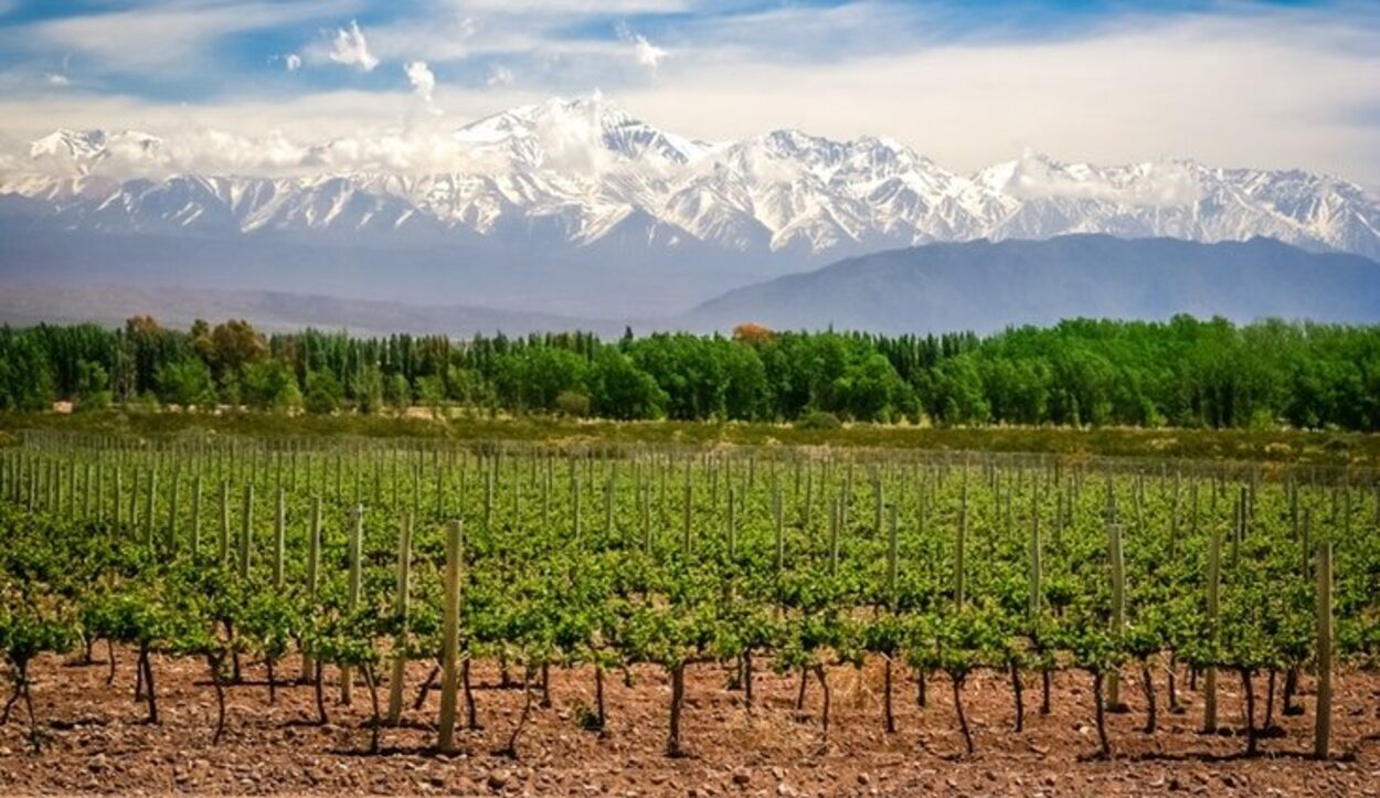 Las espectaculares vistas desde una viña en Mendoza