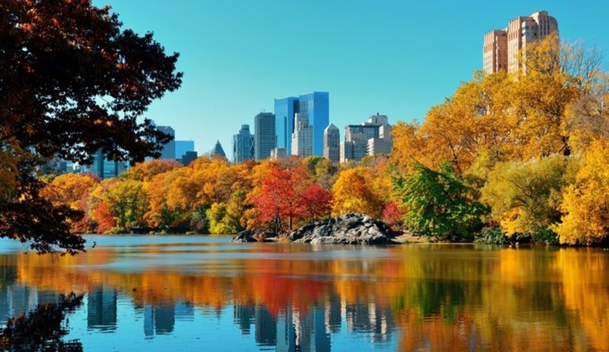En Central Park en otoño se puede observar una gran variedad de colores