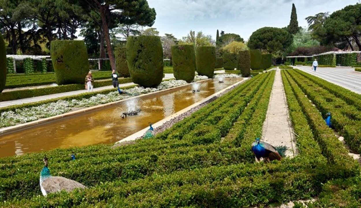 Los Jardines de Cecilio Rodríguez destacan por sus pavos reales