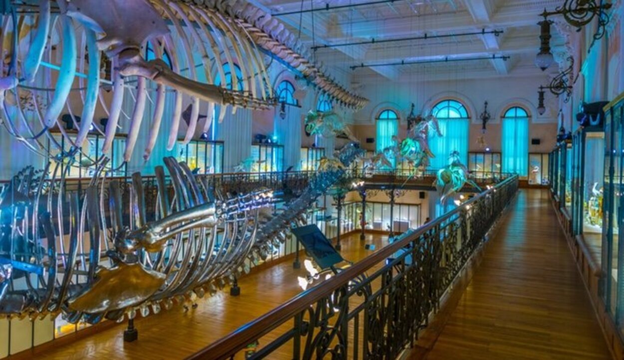 El Museo Oceanográfico tardó 11 años en ser construido