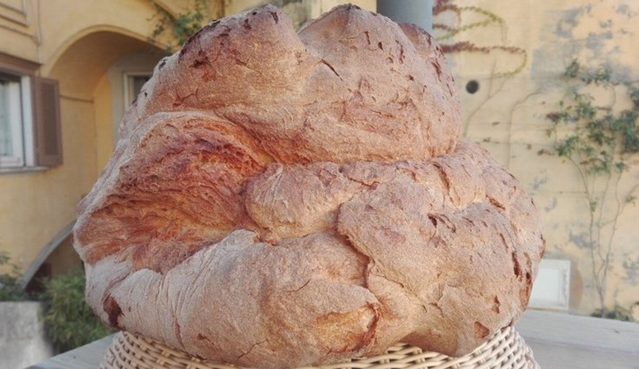 La forma y el sabor único del pan de Matera son el fruto de una antiquísima cultura