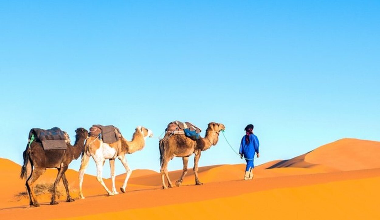 El clima en Marrakech es extremo, con frecuentes tormentas de arena