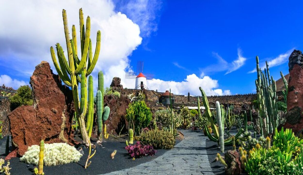 El Jardín de Cactus cuenta con su propia aplicación para planificar tu visita