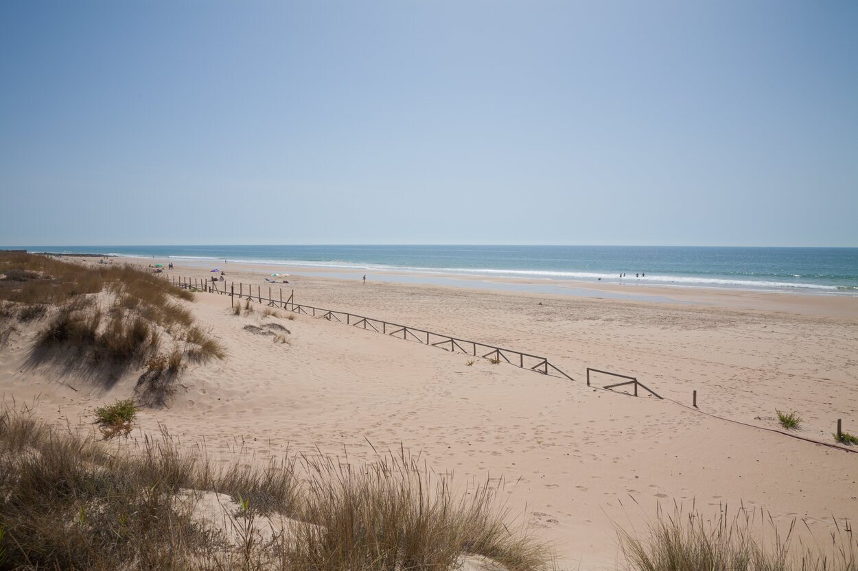 La playa del Palmar se encuentra en Vejer de la Frontera y está catalogada como una de las mejores playas andaluzas