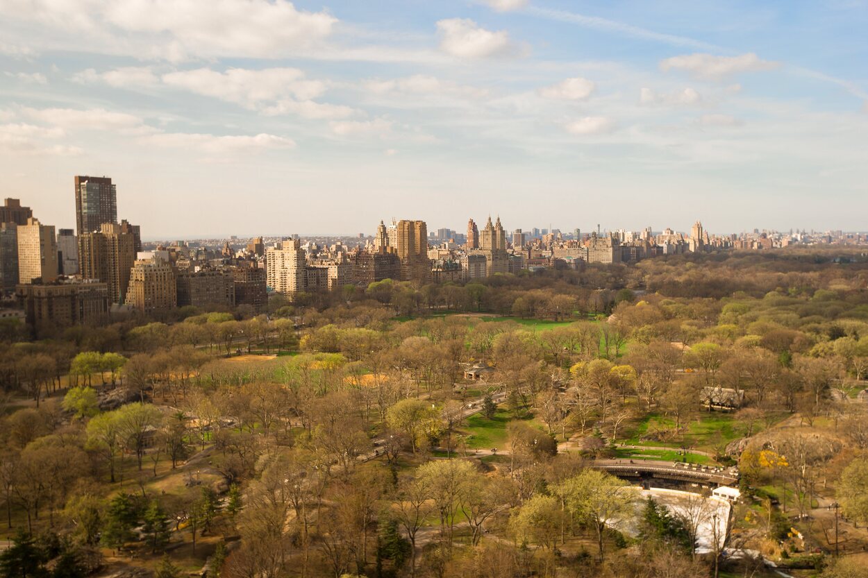 Central Park es todo un remanso de paz dentro del bullicio de la ciudad