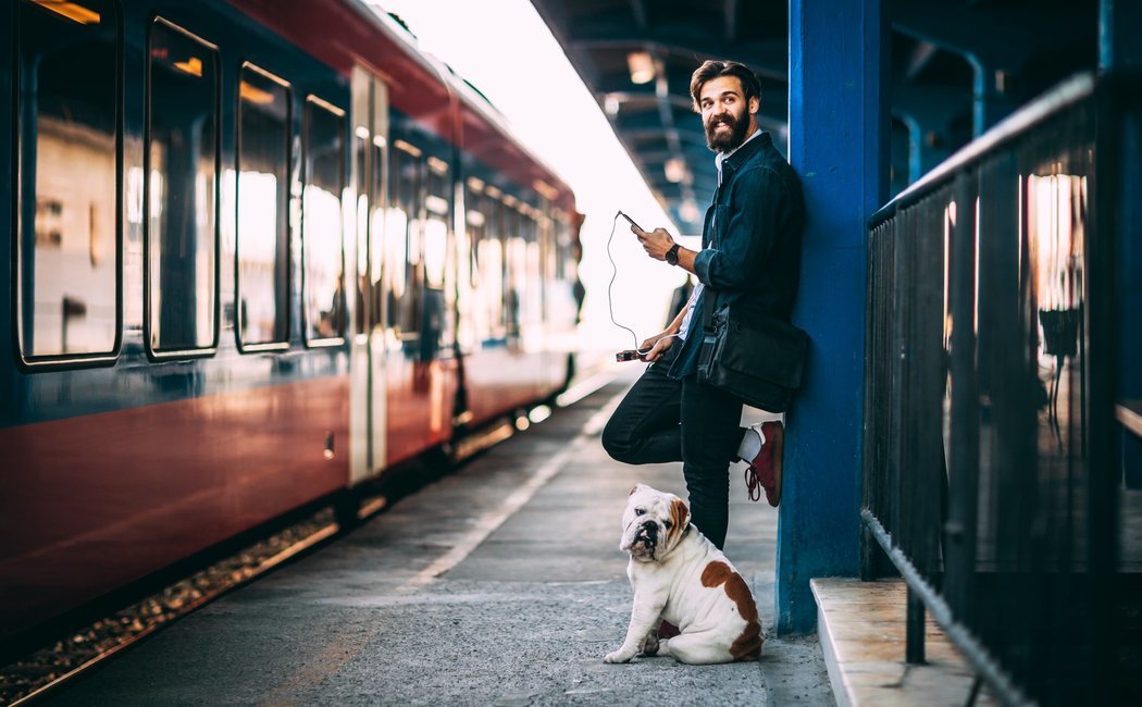 Viajar con perros: consejos, recomendaciones y prohibiciones para quienes viajan con su mascota