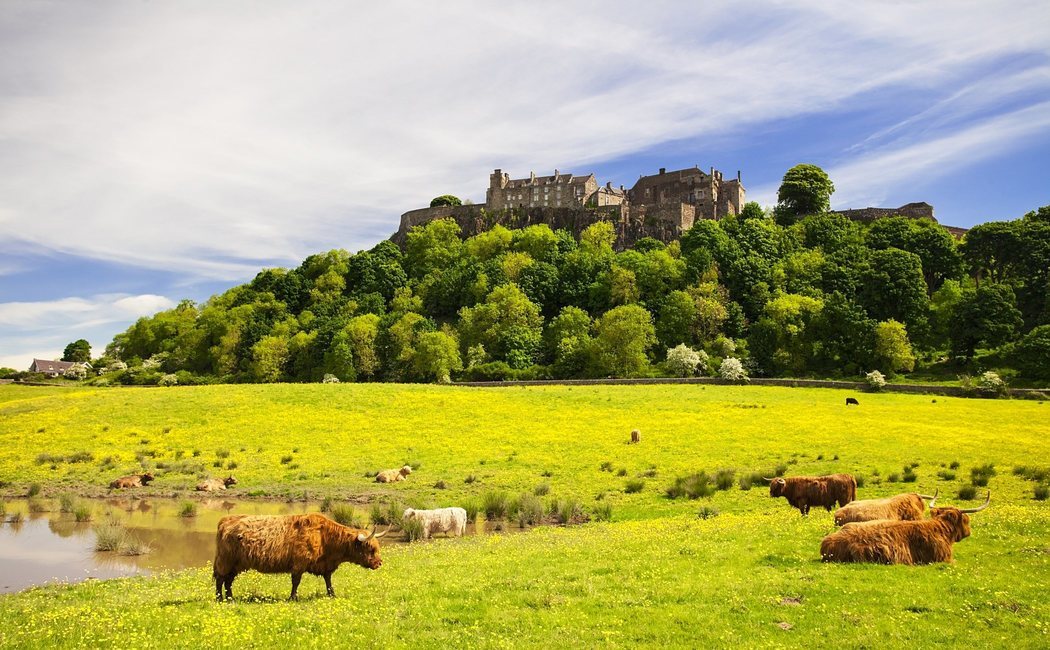 Qué ver y cómo llegar al Castillo de Stirling