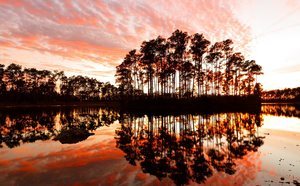 Qué ver y qué hacer en Los Everglades