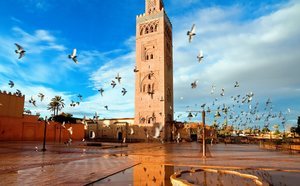 Qué ciudad visitar en Marruecos: guía para elegir según tus gustos
