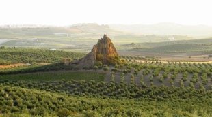 Descubre la Campiña Sur cordobesa: paisaje, historia y vino en el corazón de Andalucía