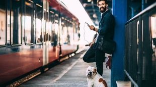 Viajar con perros: consejos, recomendaciones y prohibiciones para quienes viajan con su mascota