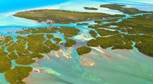 Las mejores playas de los Cayos de la Florida