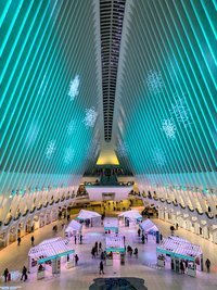 El Oculus diseñado por Santiago Calatrava, en Downtown Nueva York