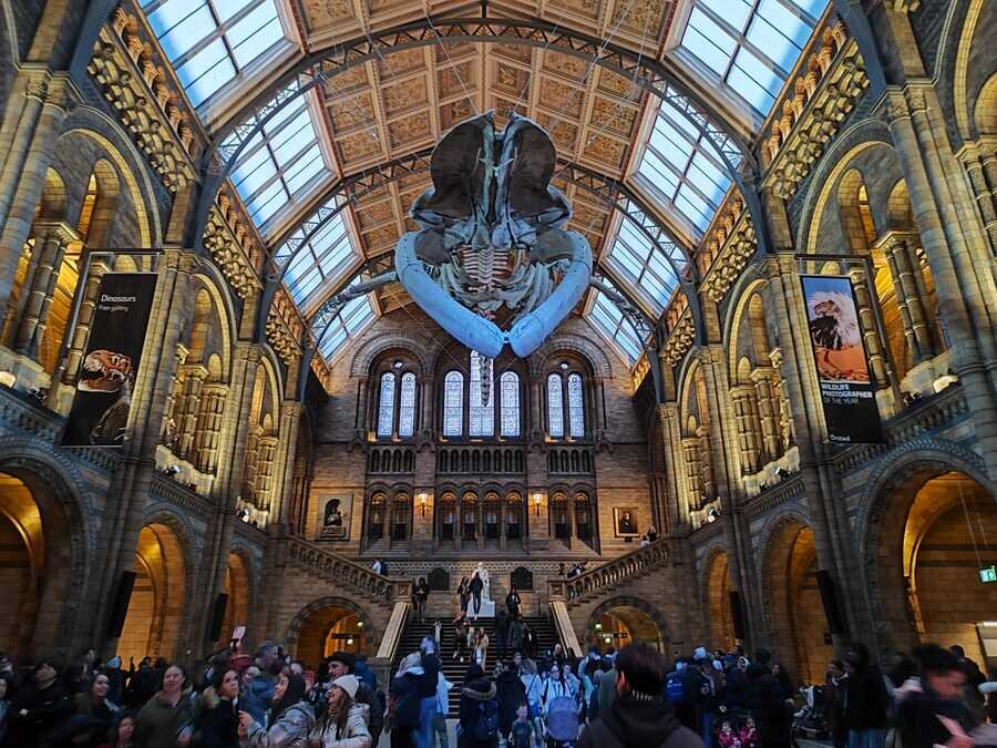 Plano interior del Museo de Historia Natural de Londres